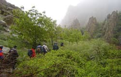 تور زاوین
