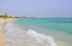 تور کیش